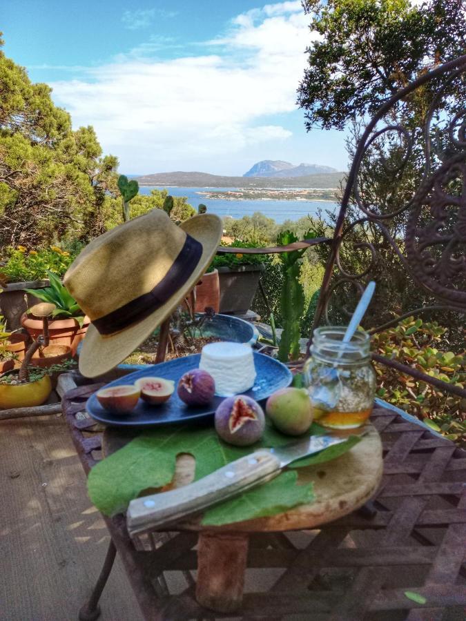 Villa Khepri Porto Rotondo Ngoại thất bức ảnh